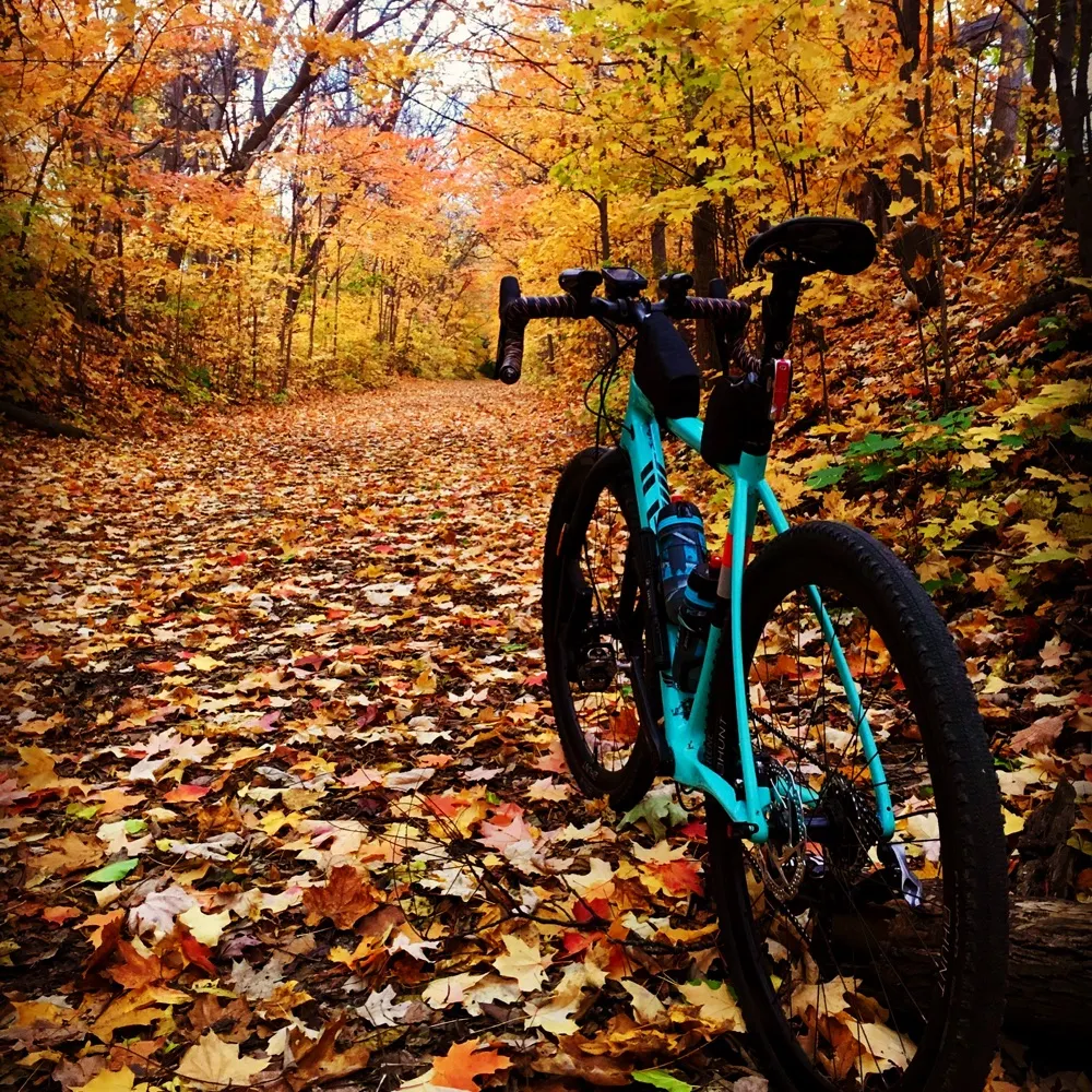 tanninman.bsky.social's profile picture