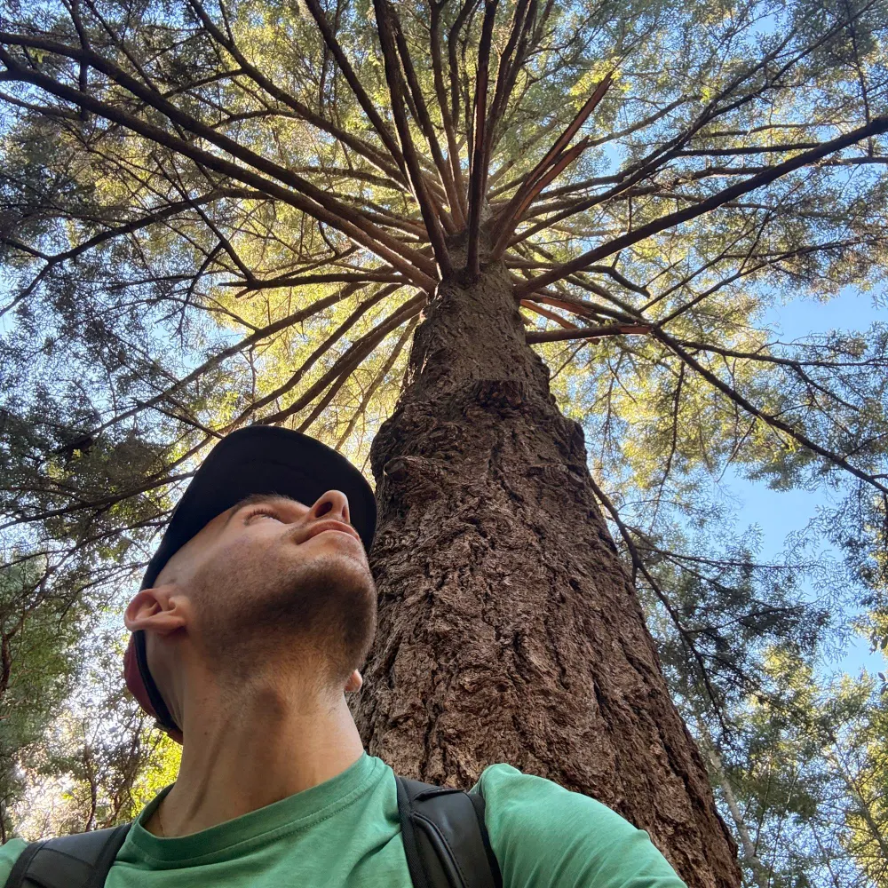 trcava.bsky.social's profile picture