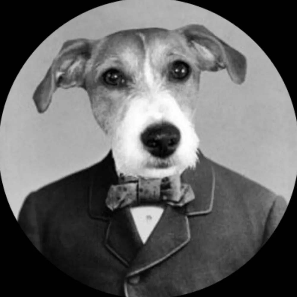 leemadgwick.bsky.social's profile picture