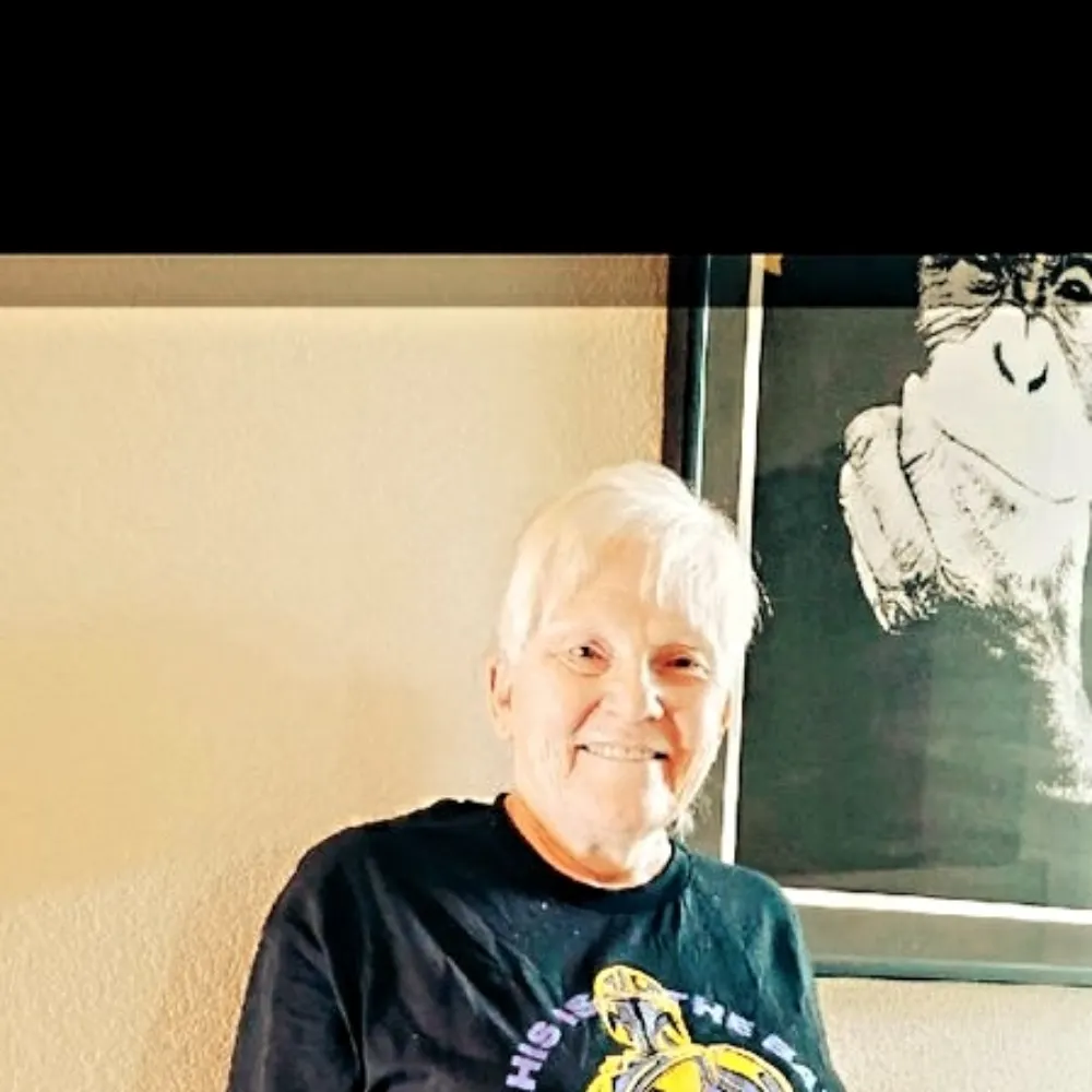 ckdcaorok1969.bsky.social's profile picture