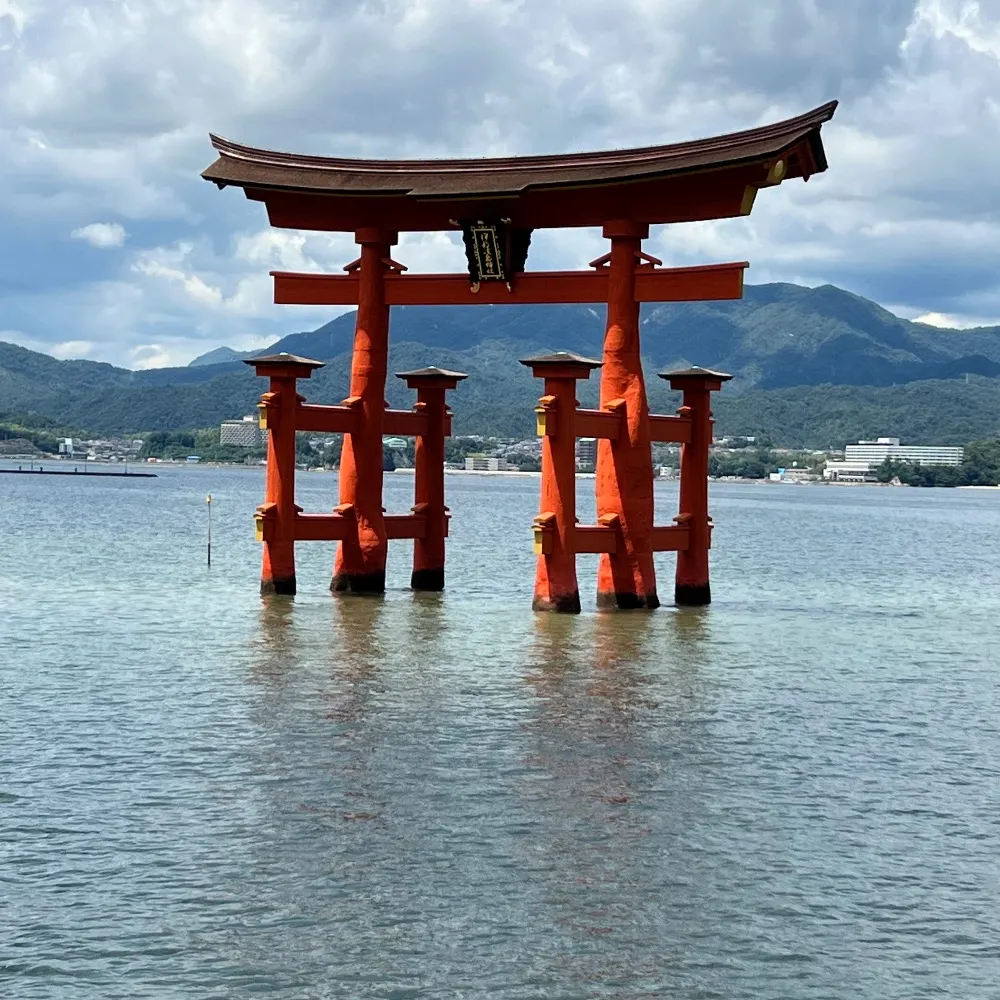 wokey42.bsky.social's profile picture