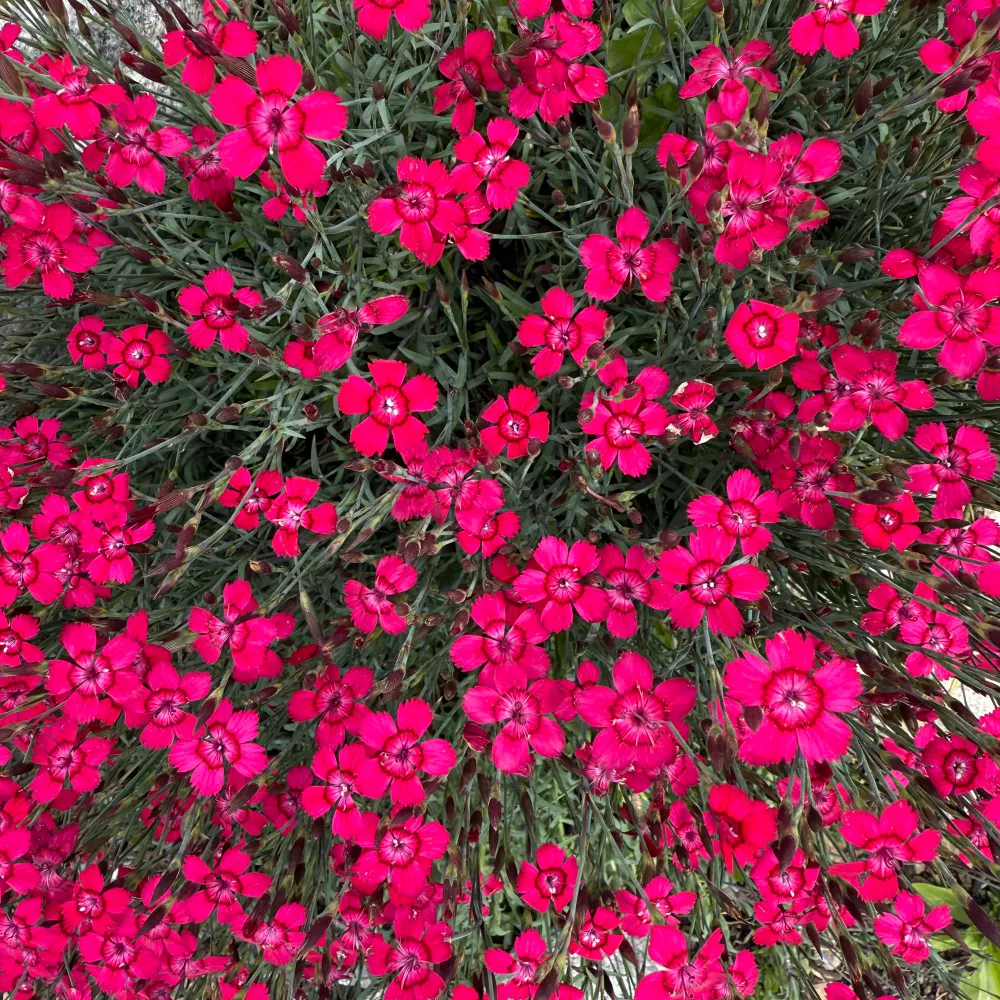 jpoww.bsky.social's profile picture