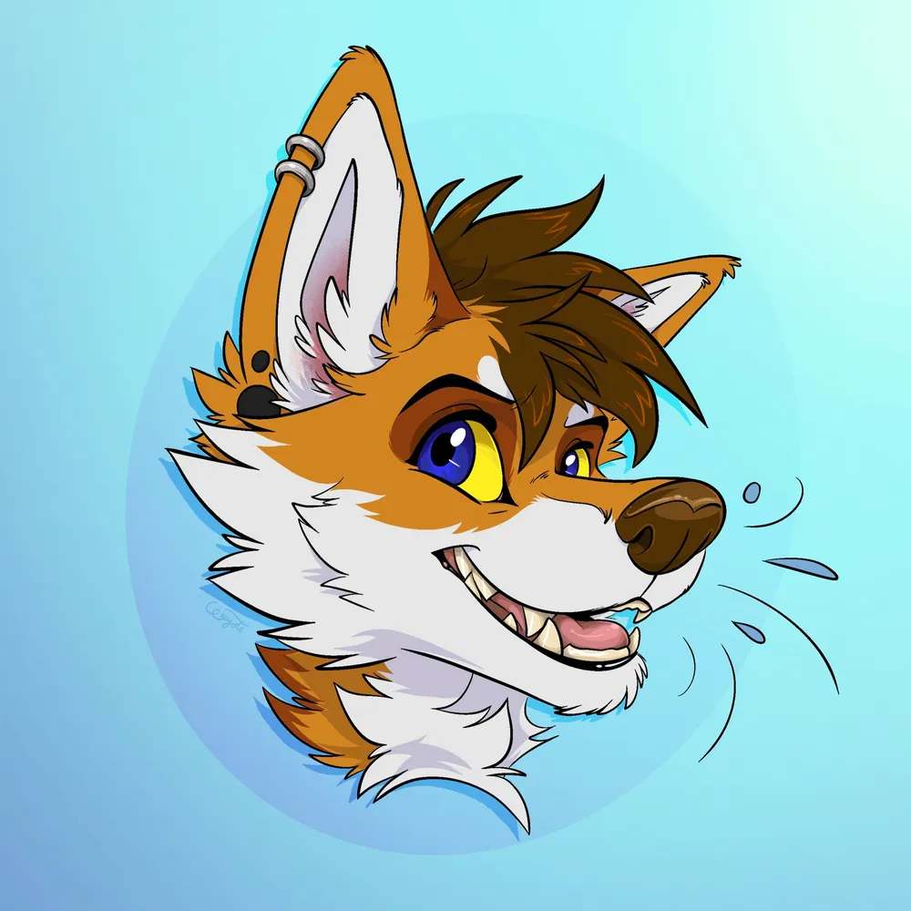 yammadingo.bsky.social's profile picture