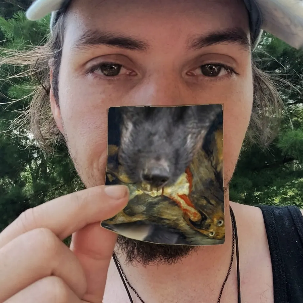 remfoxxi.testbench.gay's profile picture