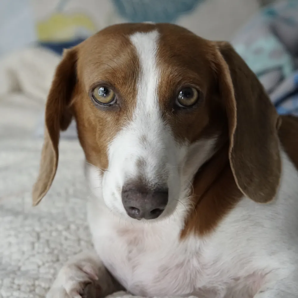 scoffmantx.bsky.social's profile picture