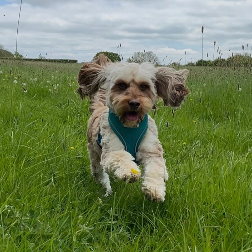 debbiereads.bsky.social's profile picture