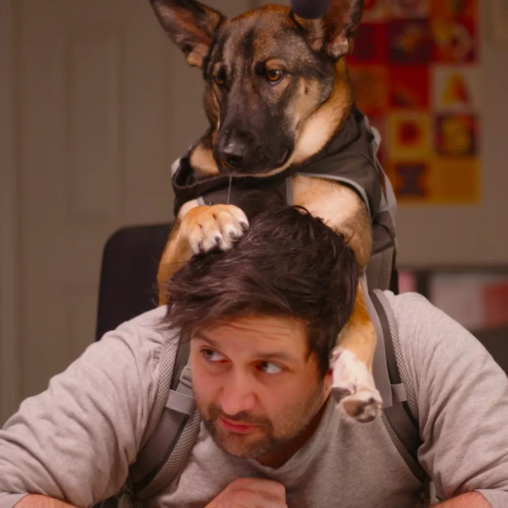 ali-alkhatib.com's profile picture