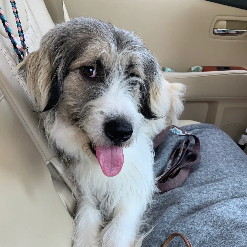 therepaiute.bsky.social's profile picture