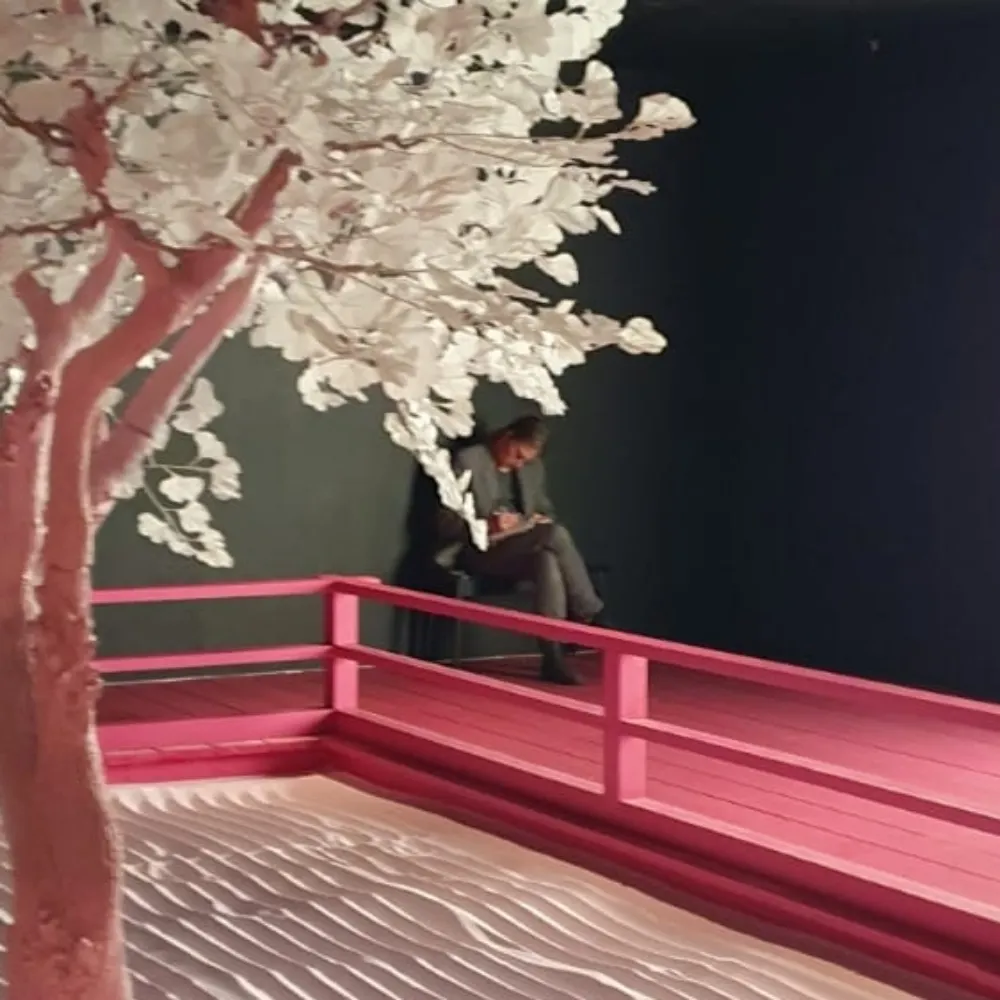 emyndean.bsky.social's profile picture