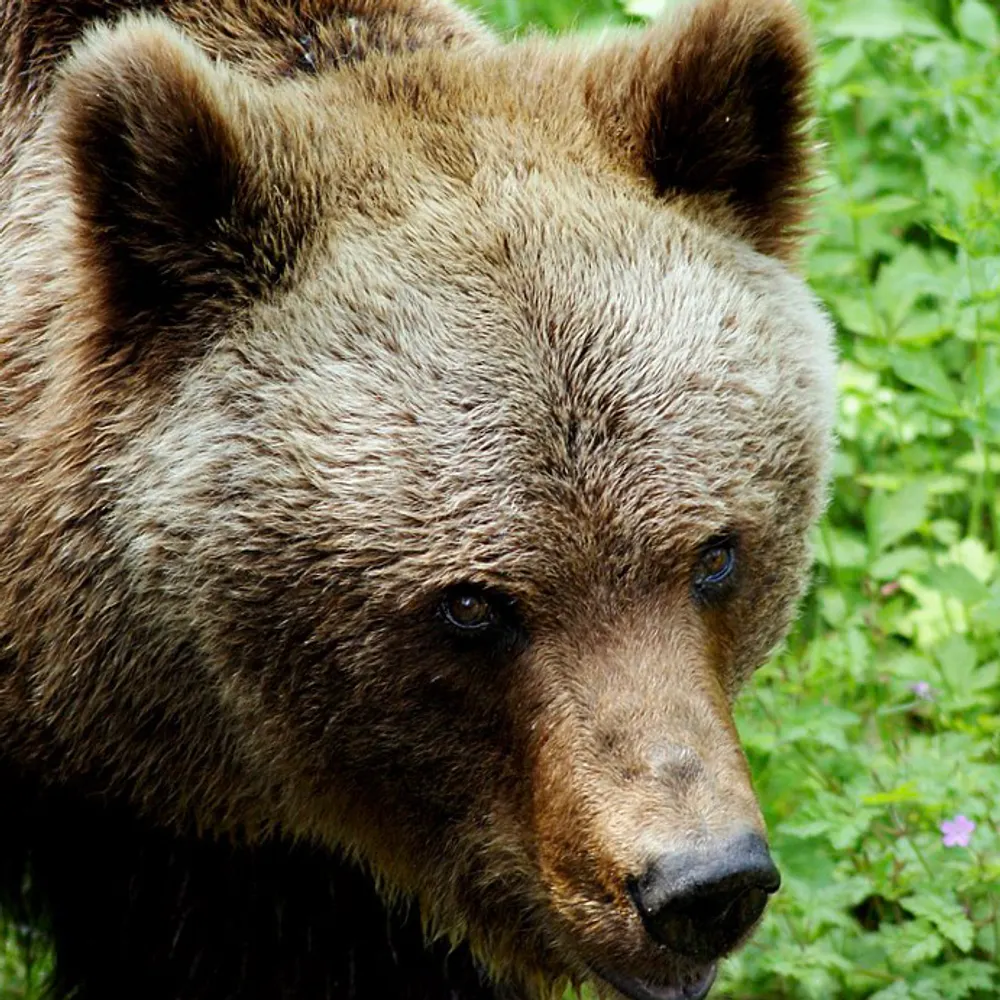 eschaton411.bsky.social's profile picture