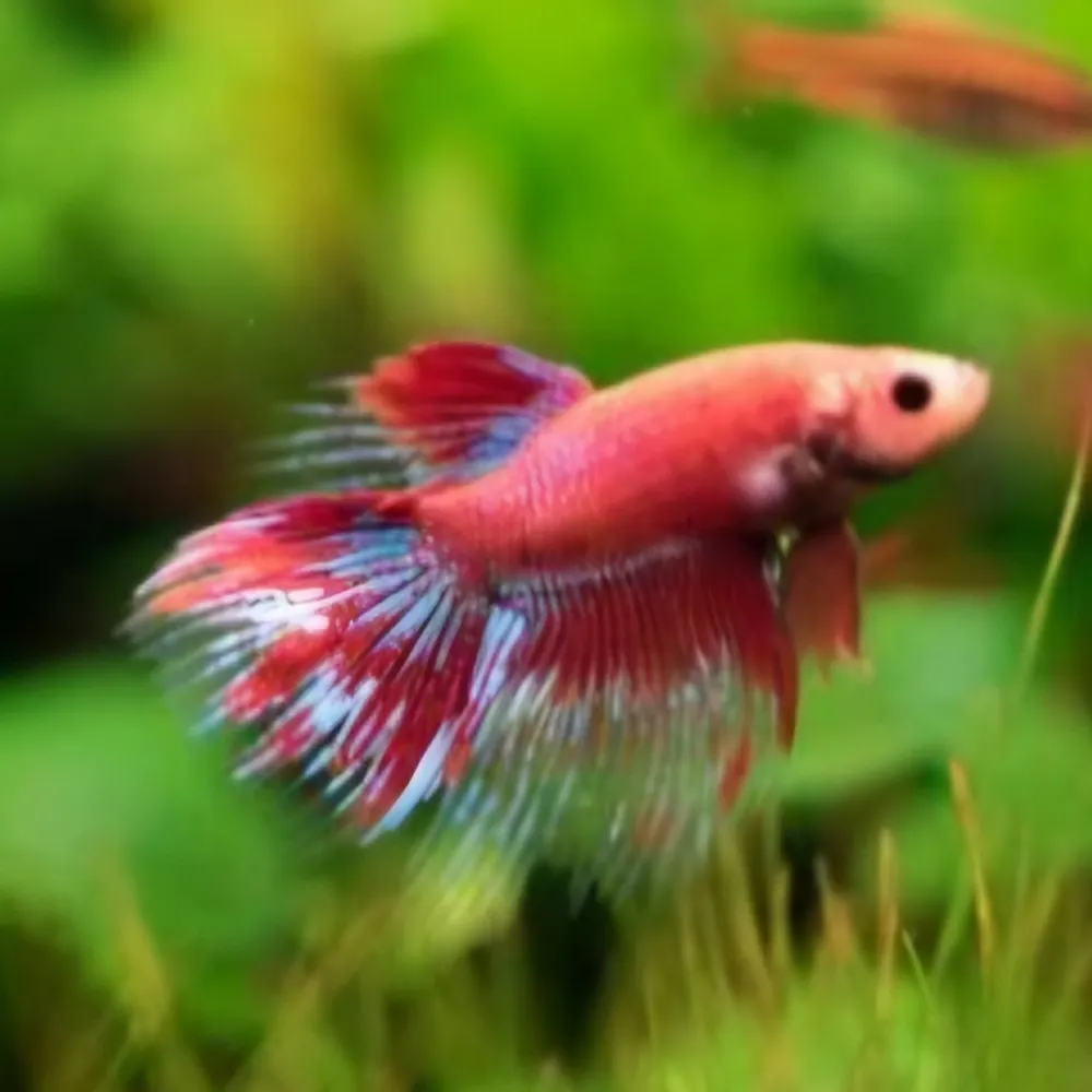 cindi53.bsky.social's profile picture