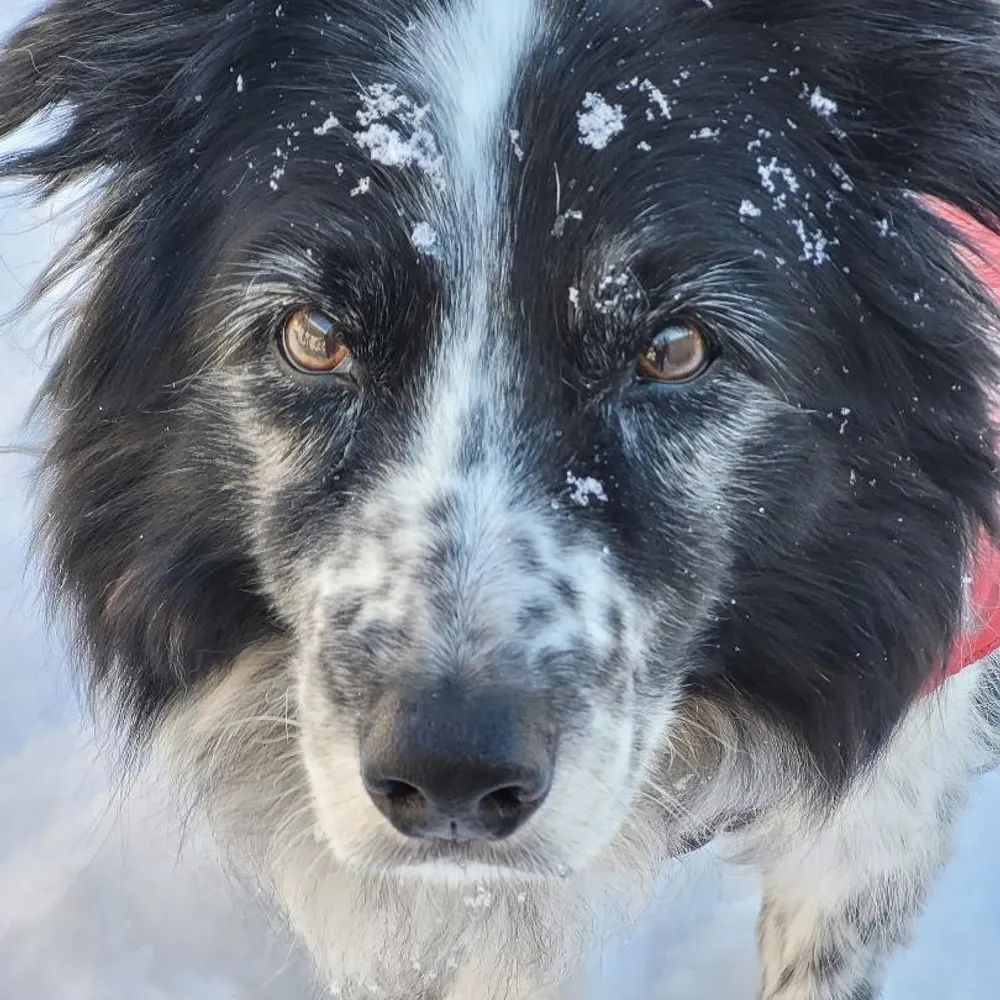 hinebd.bsky.social's profile picture