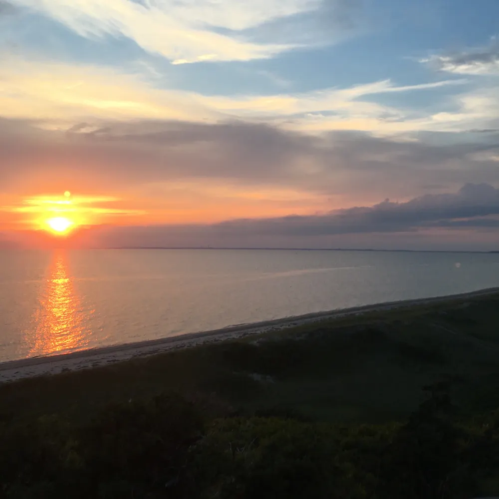 josey75.bsky.social's profile picture