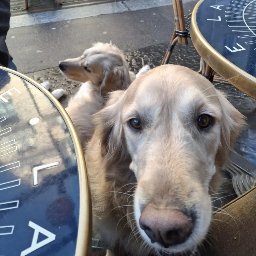 vimessam.bsky.social's profile picture