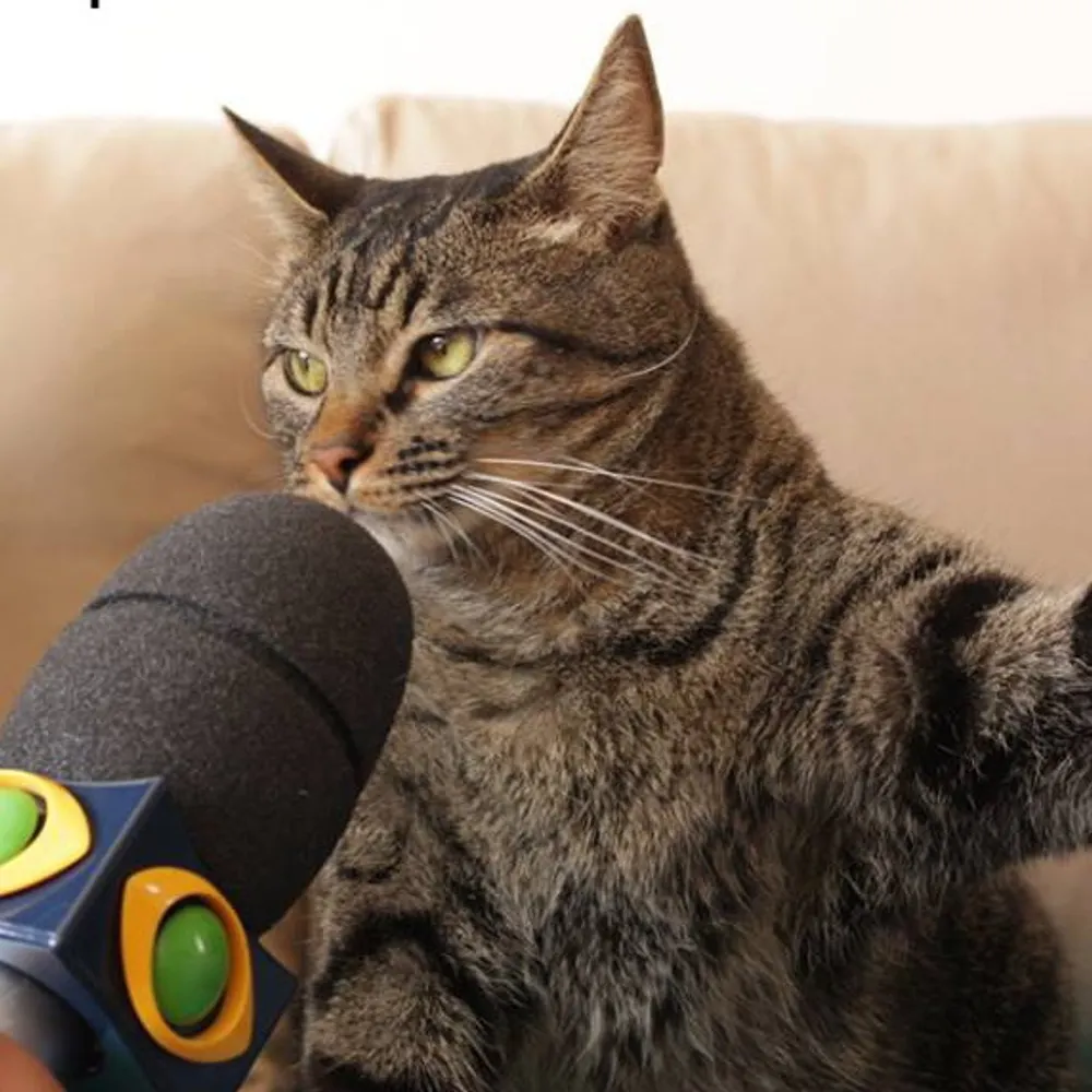 bonilha.bsky.social's profile picture