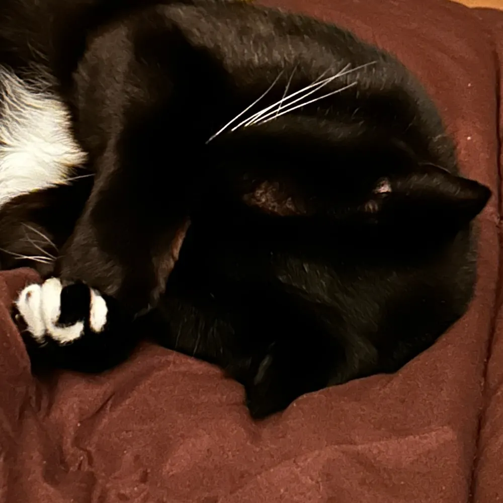 bus01.bsky.social's profile picture