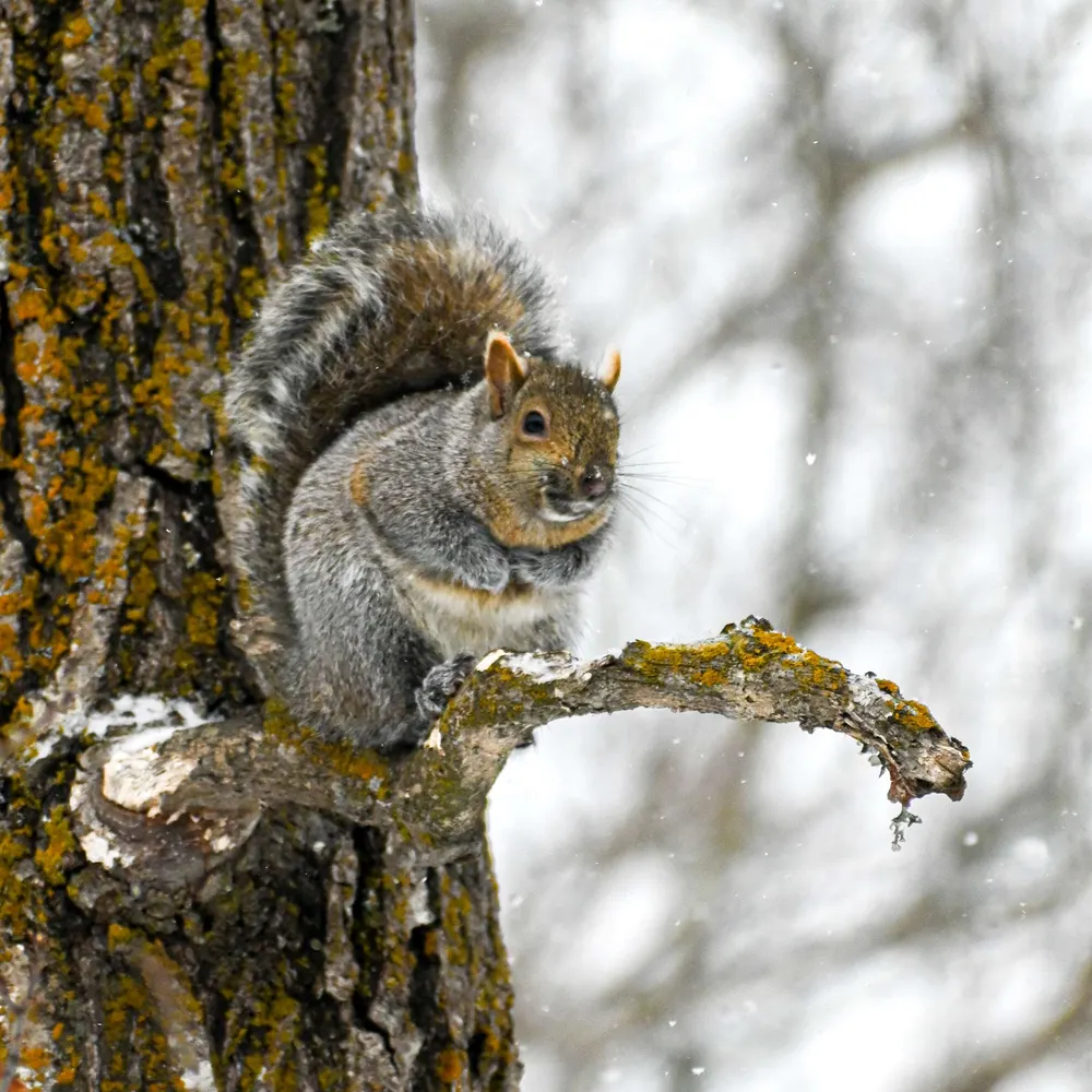 gritsmc.bsky.social's profile picture