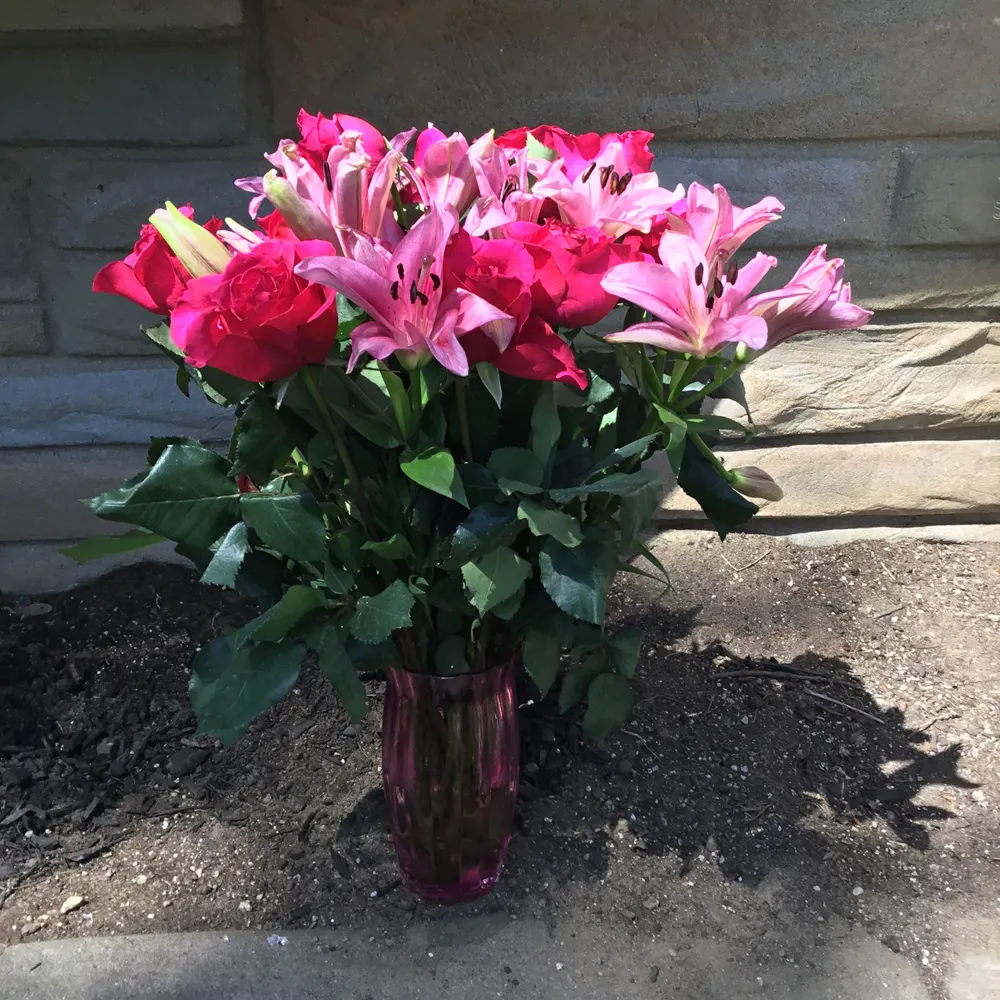 dmj21.bsky.social's profile picture