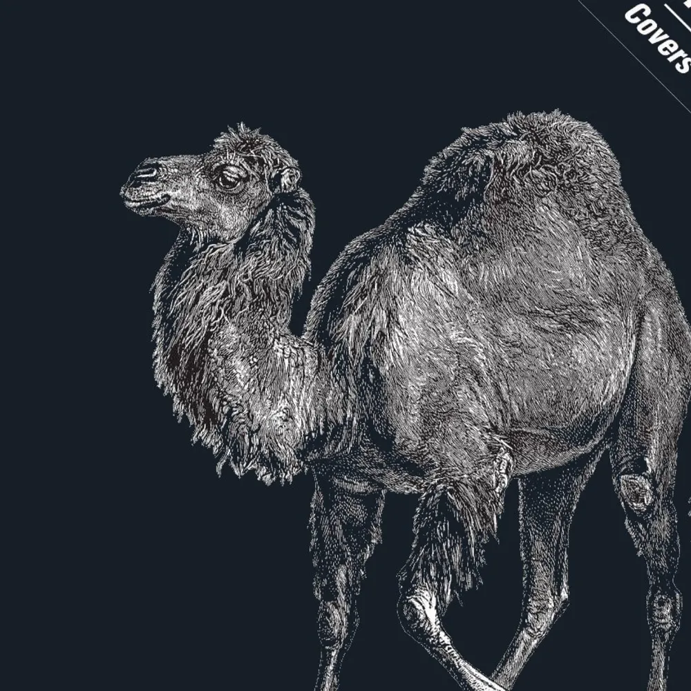 fraac.bsky.social's profile picture