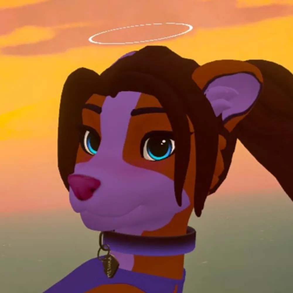 skunkset.bsky.social's profile picture