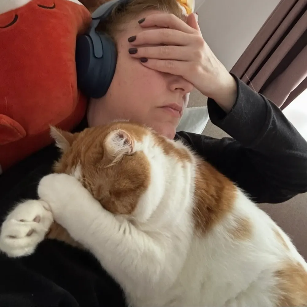 onbetamelijkevrouw.bsky.social's profile picture