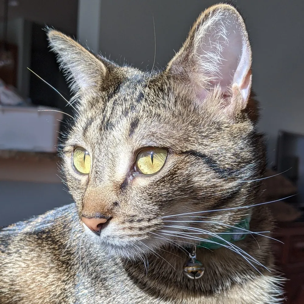 brik.bsky.social's profile picture