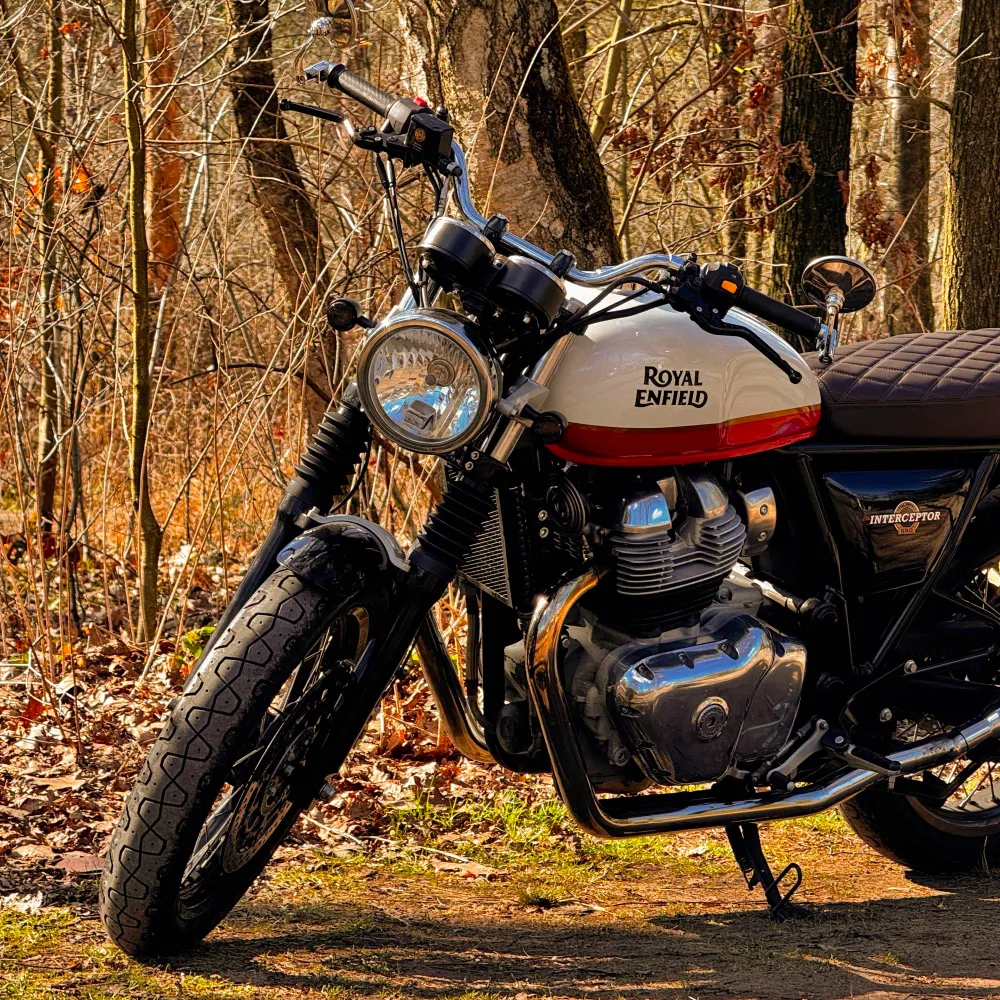 root-boy.bsky.social's profile picture