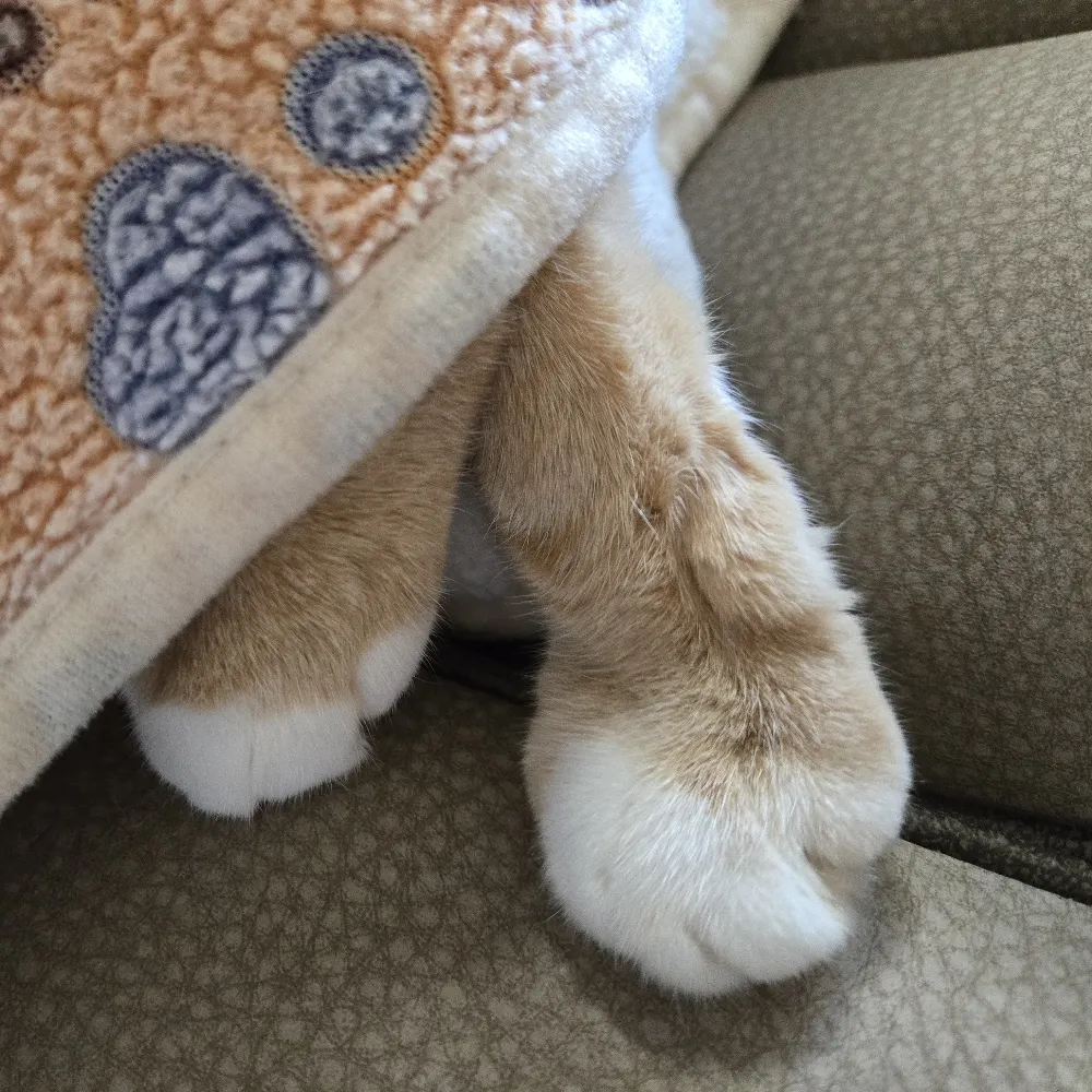 oldladywithcat.bsky.social's profile picture