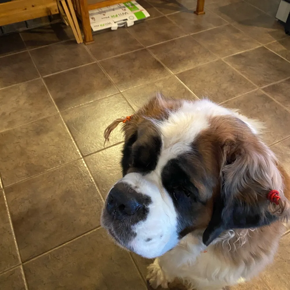 skiddy99.bsky.social's profile picture