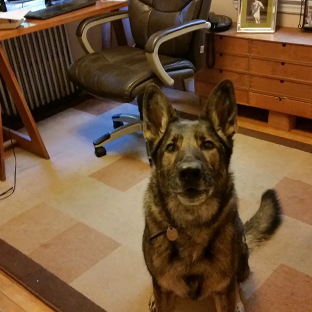 barbararogan.bsky.social's profile picture