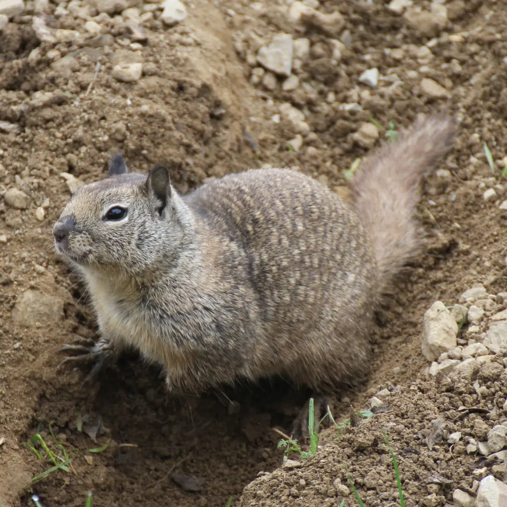 genxjared.bsky.social's profile picture