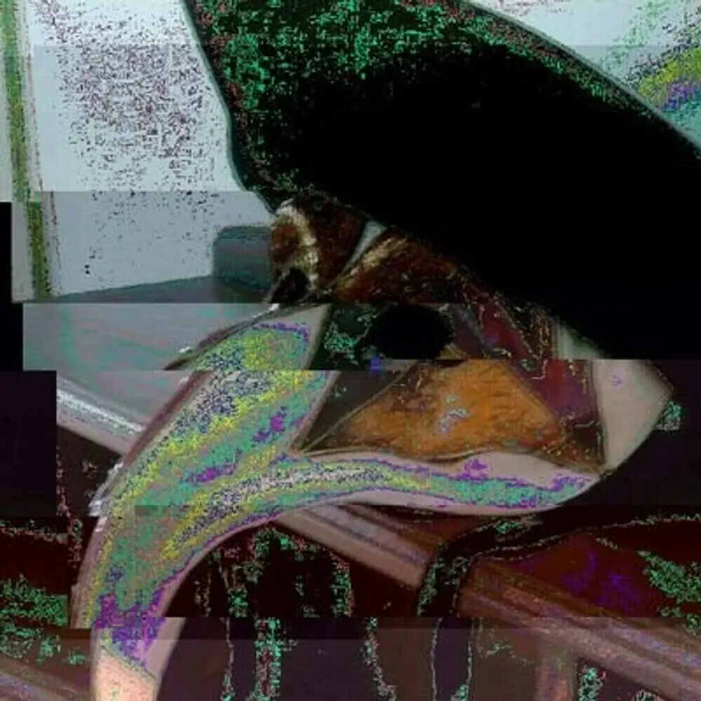 pierredelecto.bsky.social's profile picture