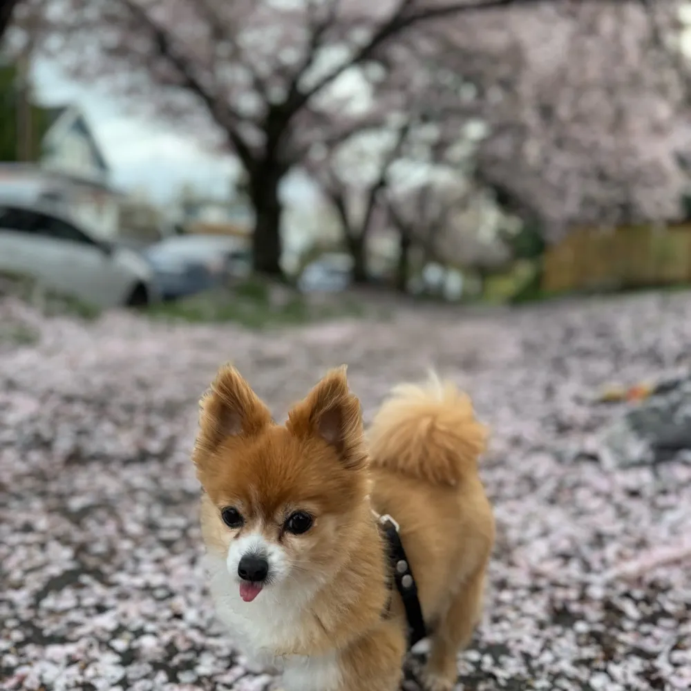 ga36542.bsky.social's profile picture