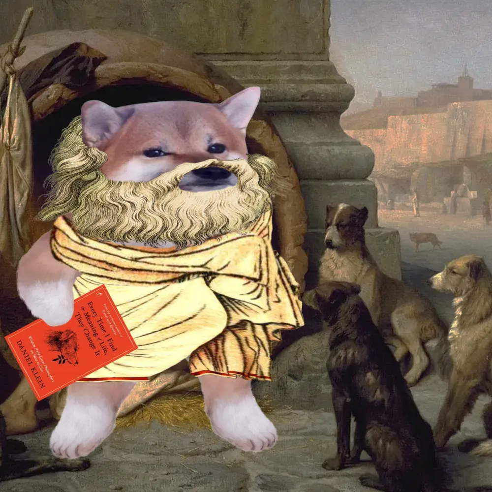 stenback.bsky.social's profile picture