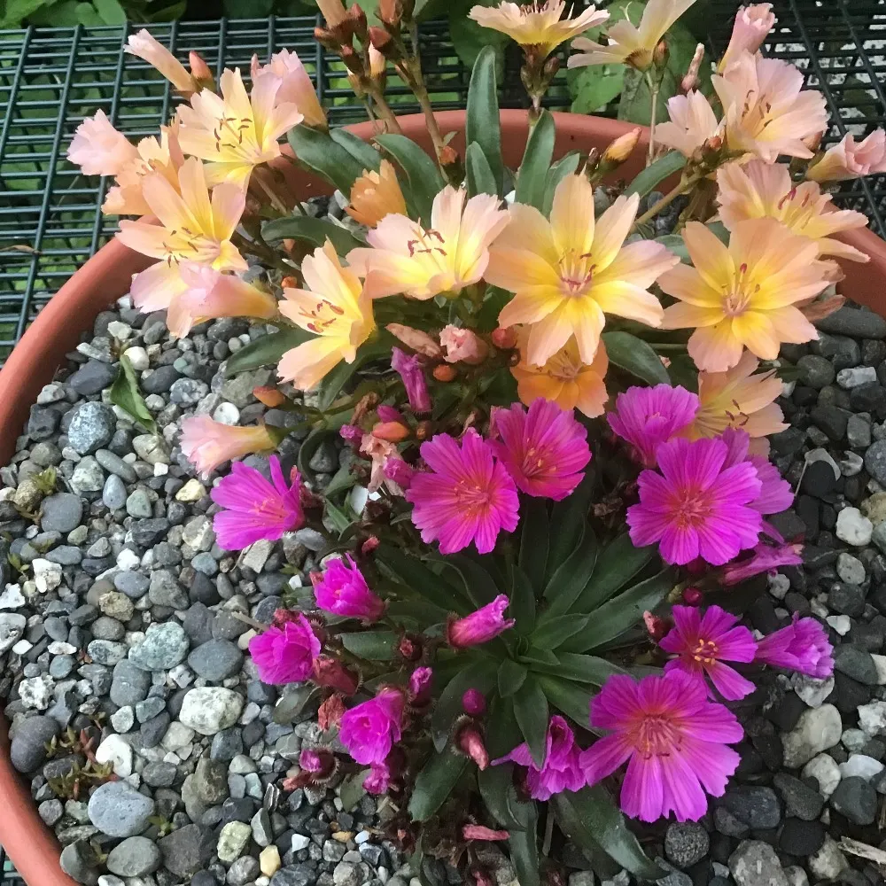 pitchersforever.bsky.social's profile picture