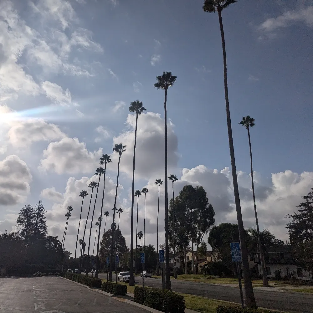 screaminglife667.bsky.social's profile picture