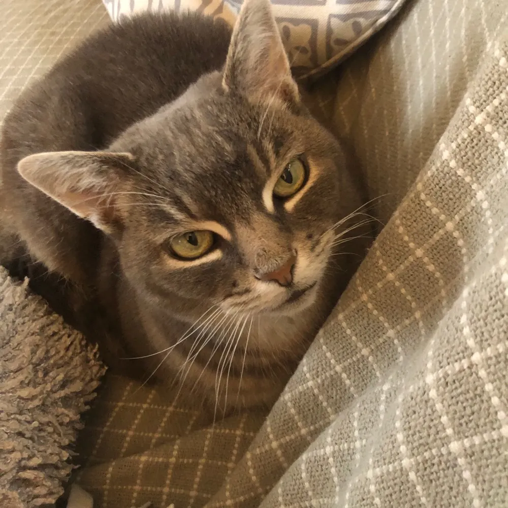 wittering.bsky.social's profile picture