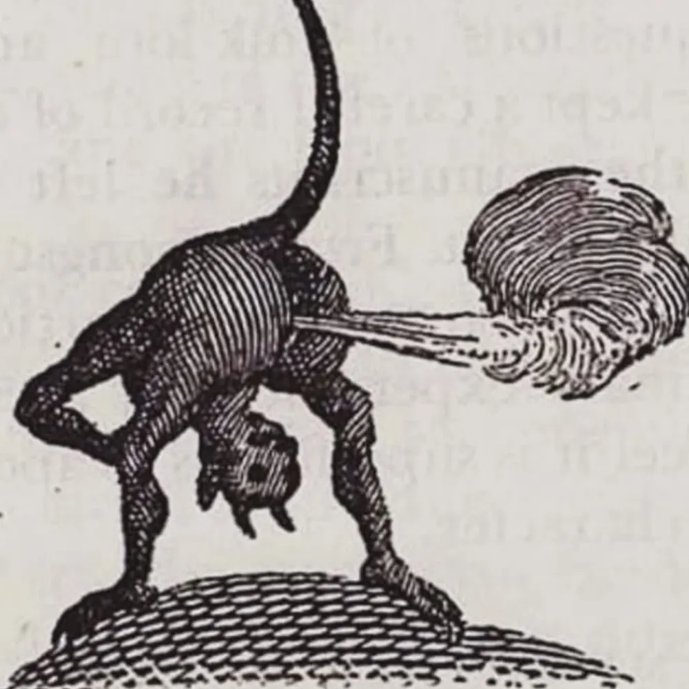 pilesojunk.bsky.social's profile picture