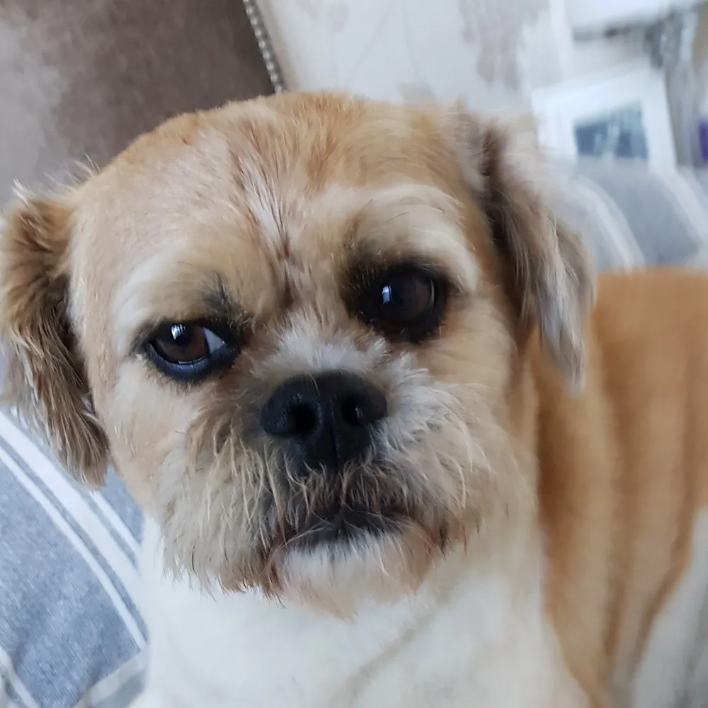 thefifewife1.bsky.social's profile picture