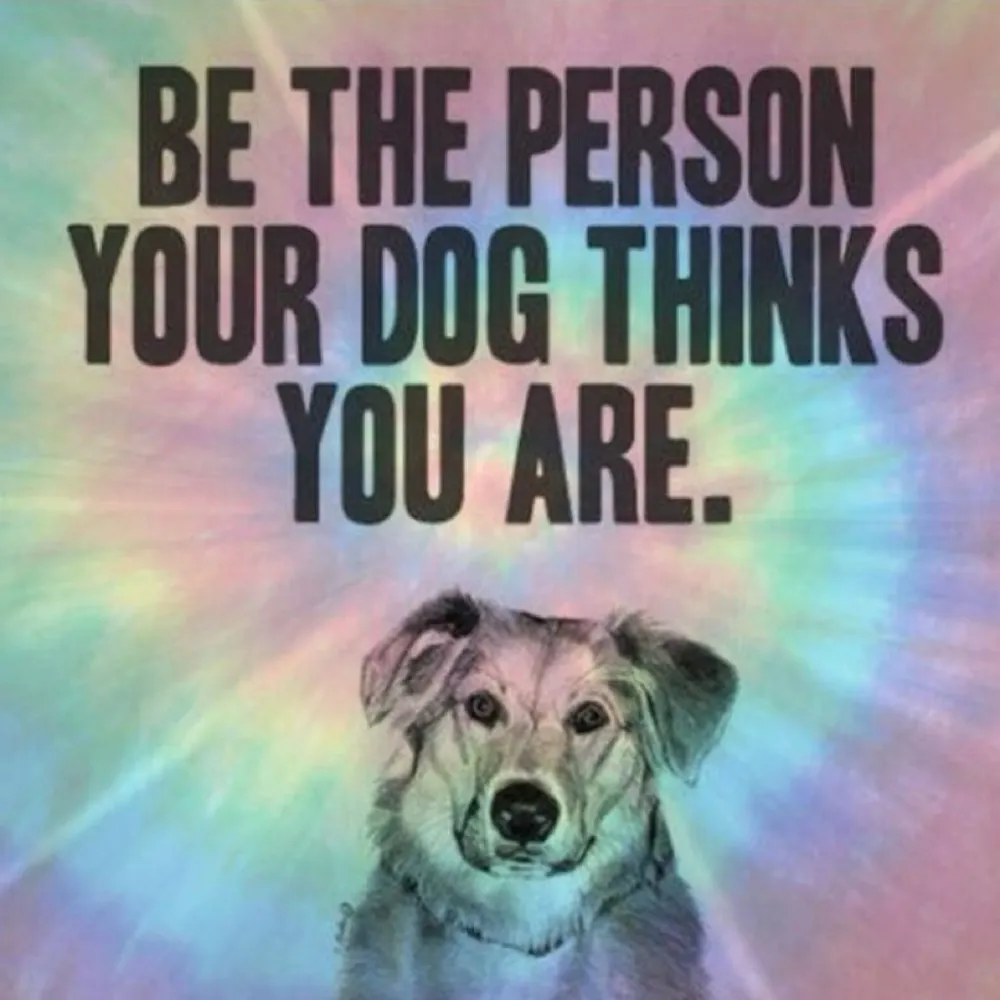 browneyedgal00001.bsky.social's profile picture