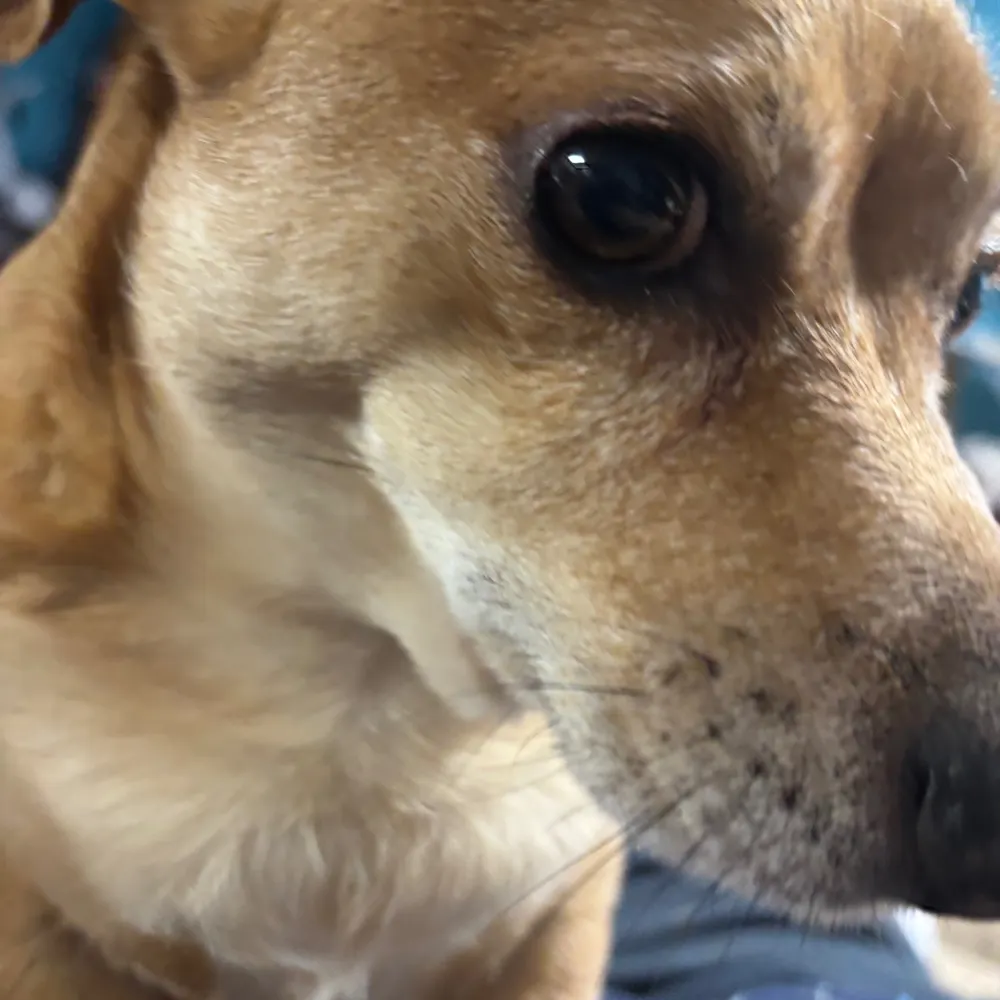 ljg1234.bsky.social's profile picture