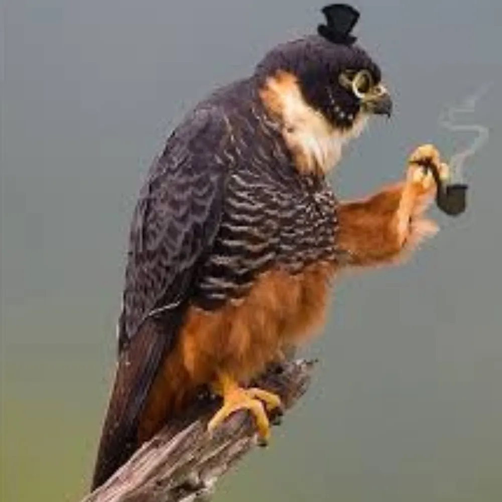 robzacny.bsky.social's profile picture