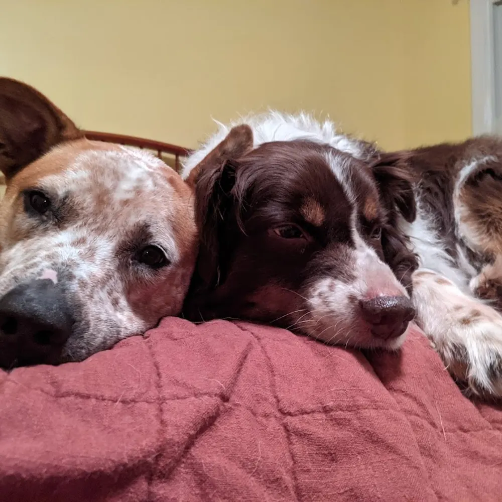 jack-shostak.bsky.social's profile picture