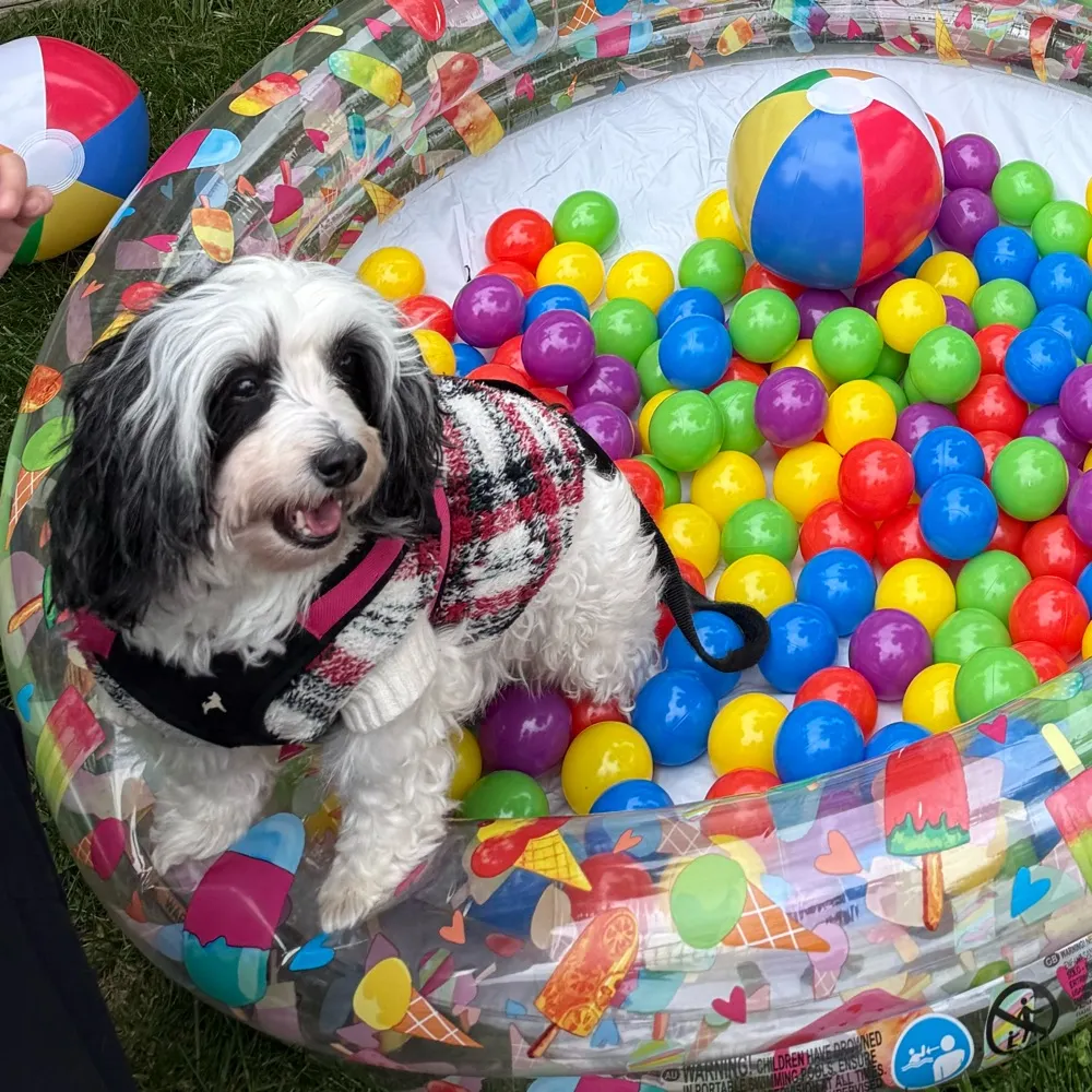 seafemme.bsky.social's profile picture