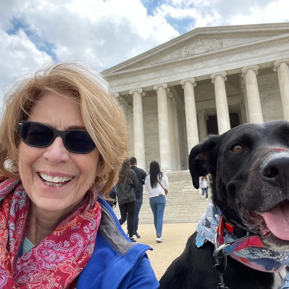 alicehalfabubble.bsky.social's profile picture