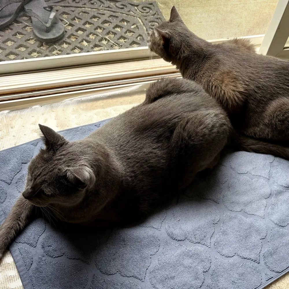 keithfukumoto.bsky.social's profile picture