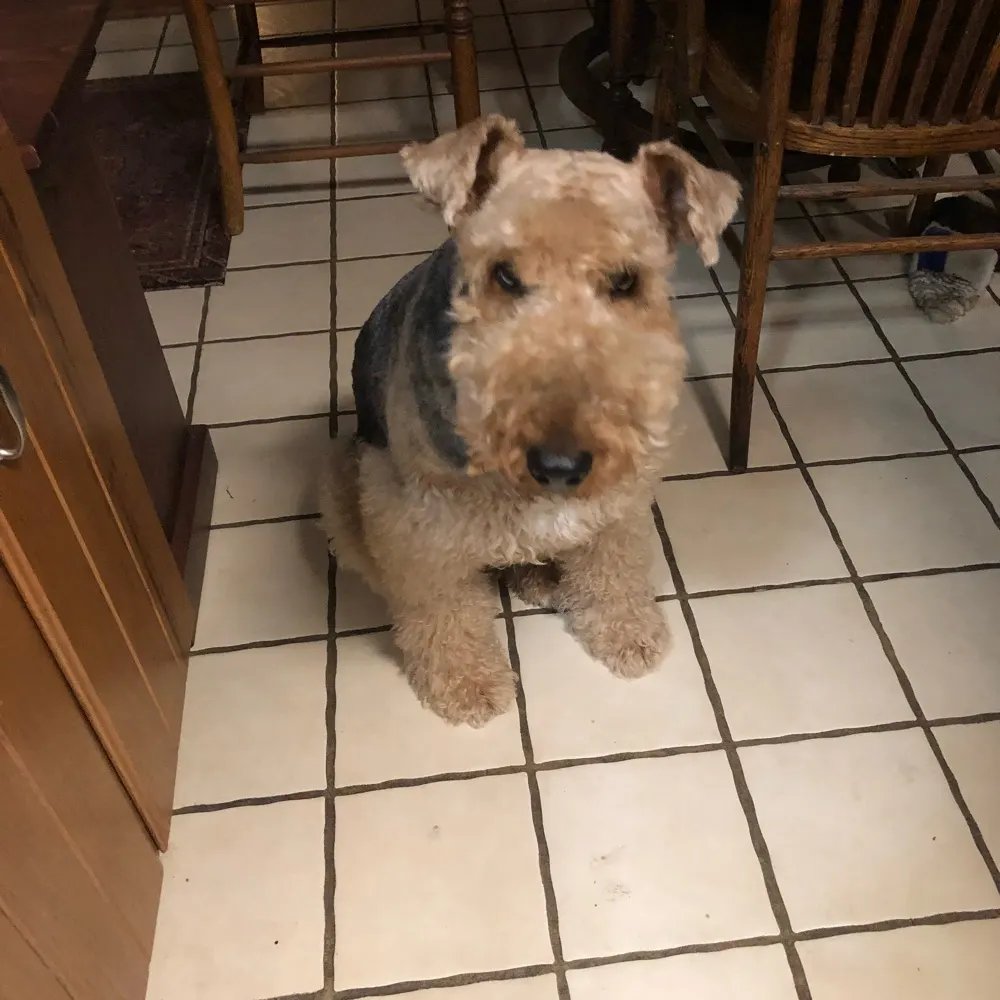 grinch67.bsky.social's profile picture