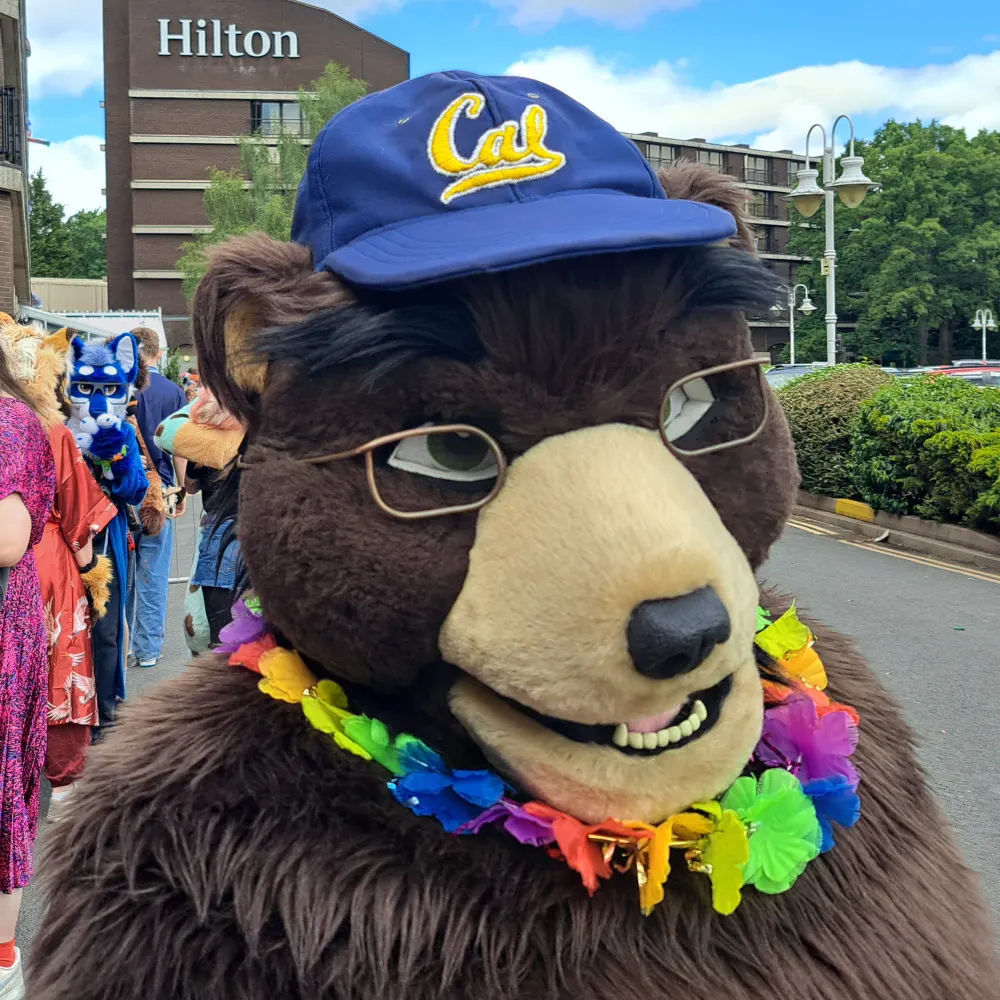 joebear67.bsky.social's profile picture