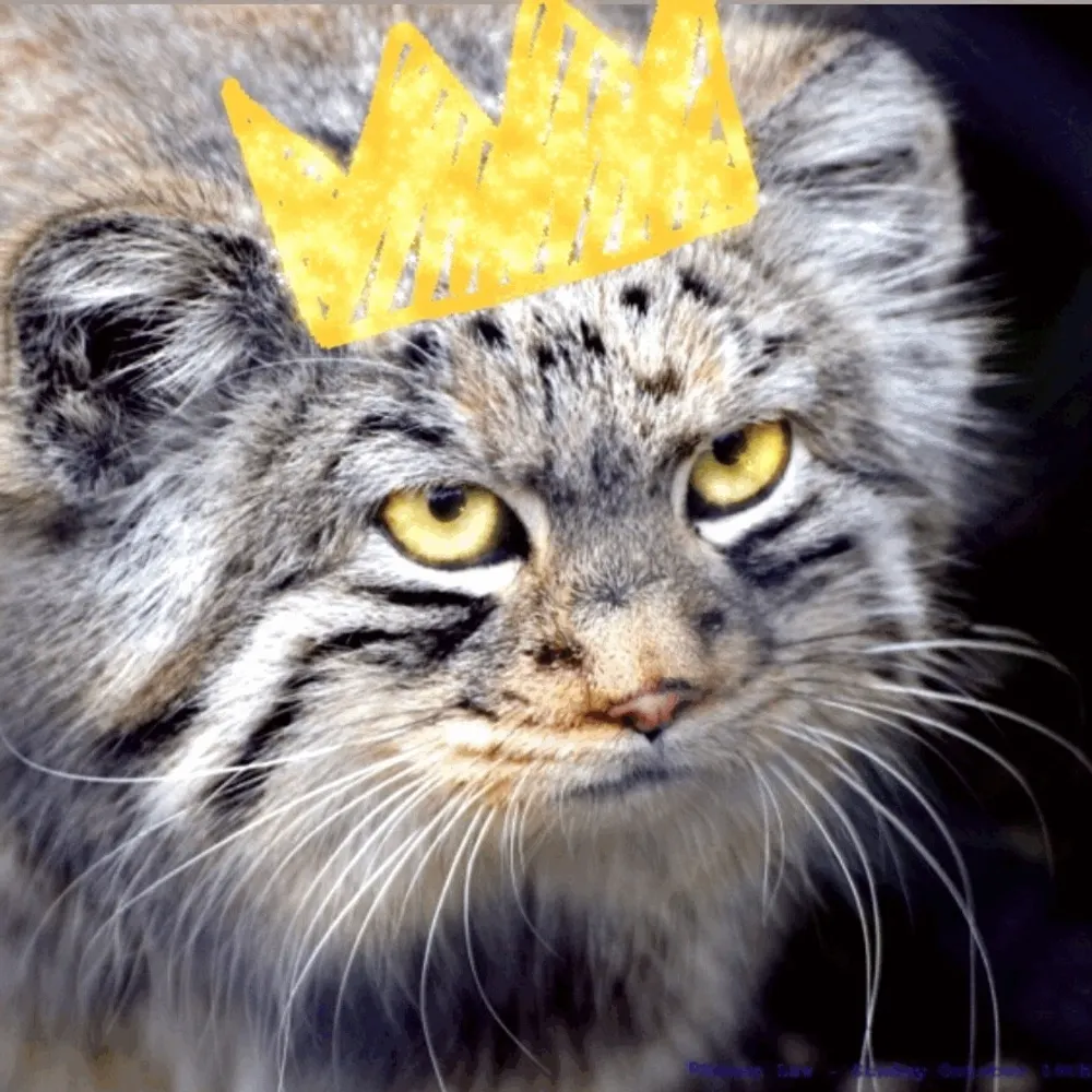 flootzavut.bsky.social's profile picture