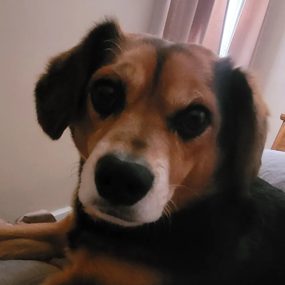 sviscusi.bsky.social's profile picture